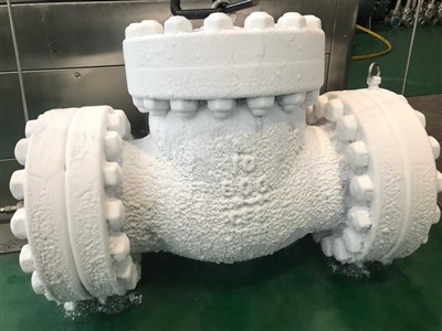 Qual o custo de uma válvula de retenção criogênica?